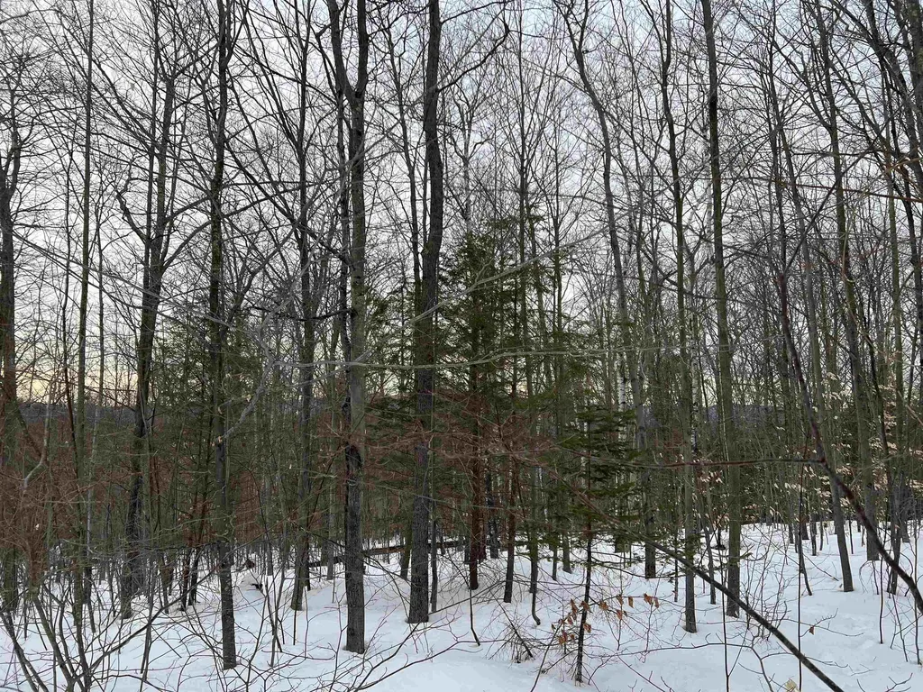 0 Oak Ridge Road Plymouth NH 03264