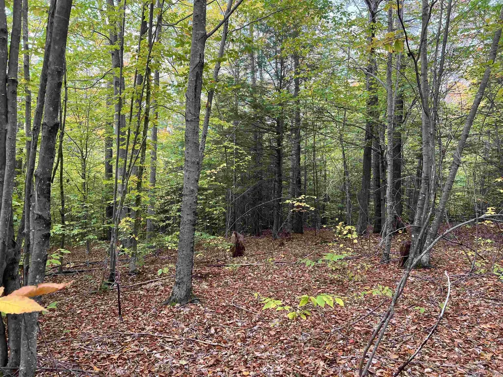 0 Oak Ridge Road Plymouth NH 03264