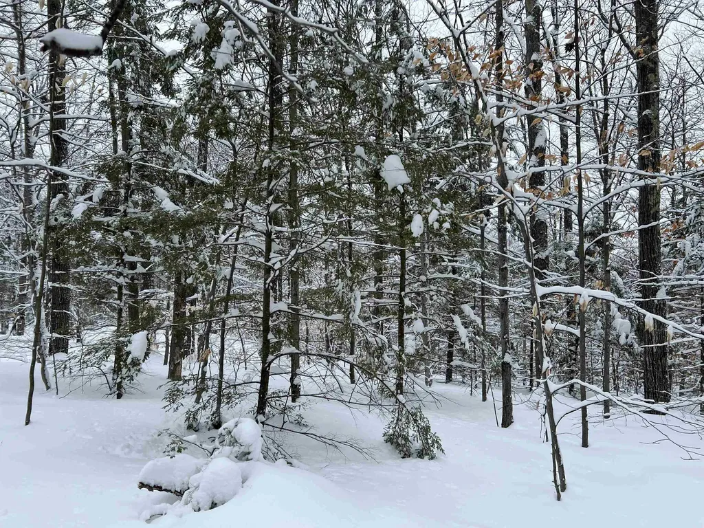 0 Oak Ridge Road Plymouth NH 03264