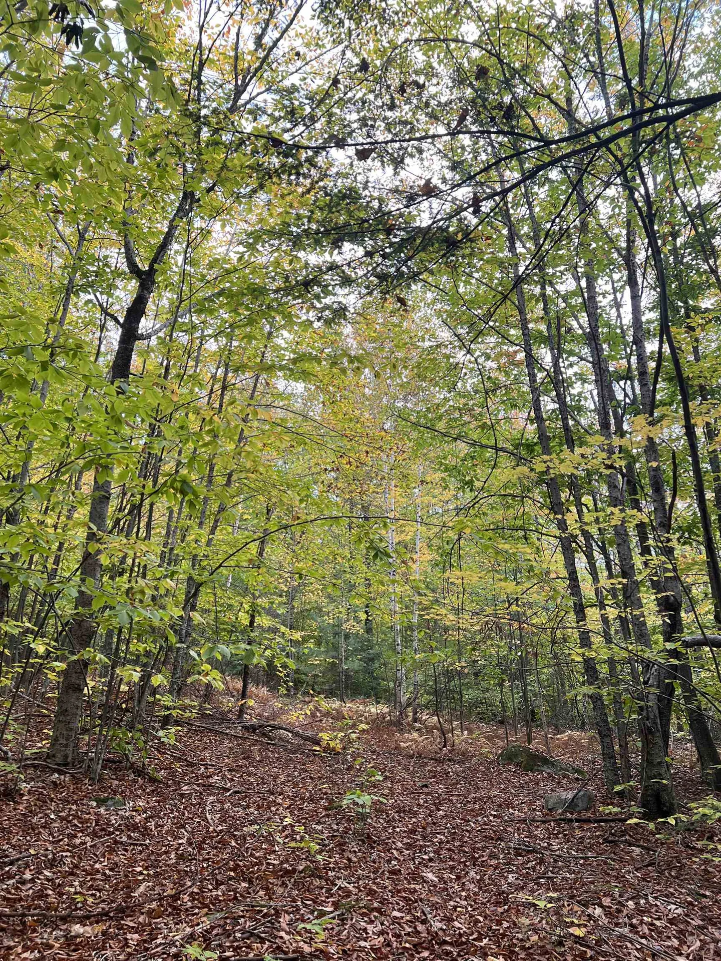 0 Oak Ridge Road Plymouth NH 03264