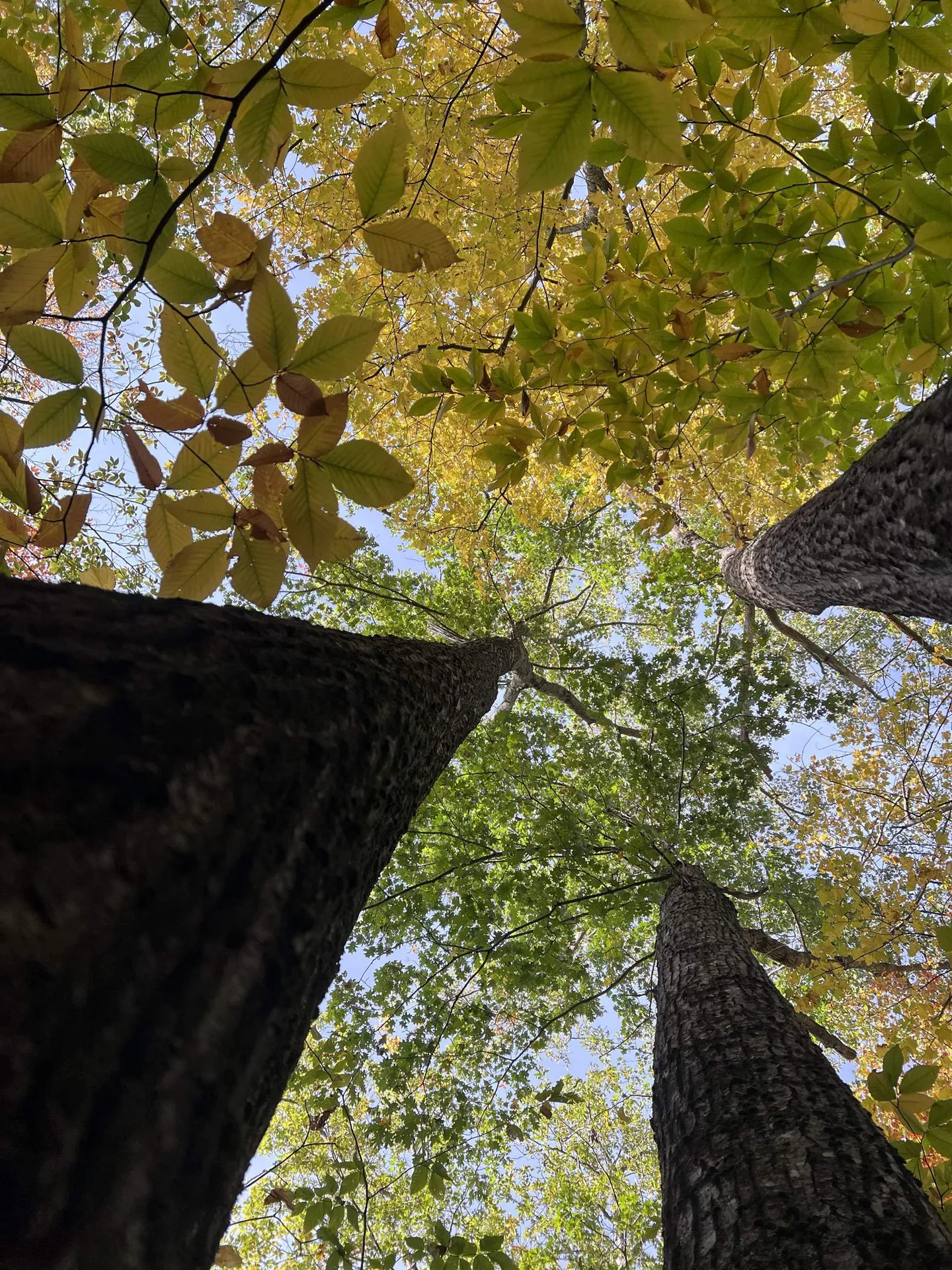 0 Oak Ridge Road Plymouth NH 03264