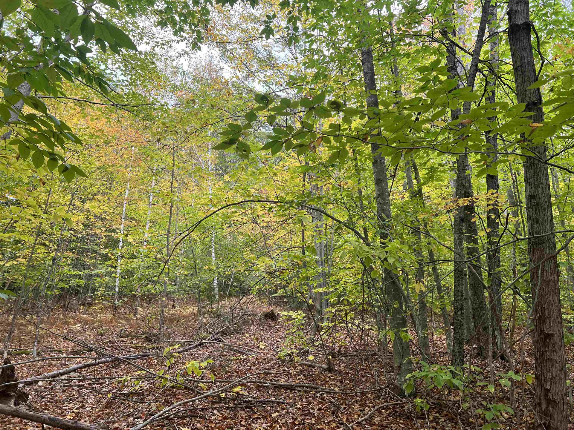 0 Oak Ridge Road Plymouth NH 03264