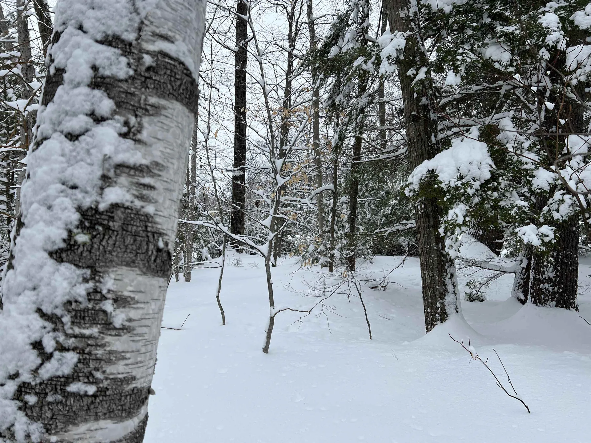 0 Oak Ridge Road Plymouth NH 03264