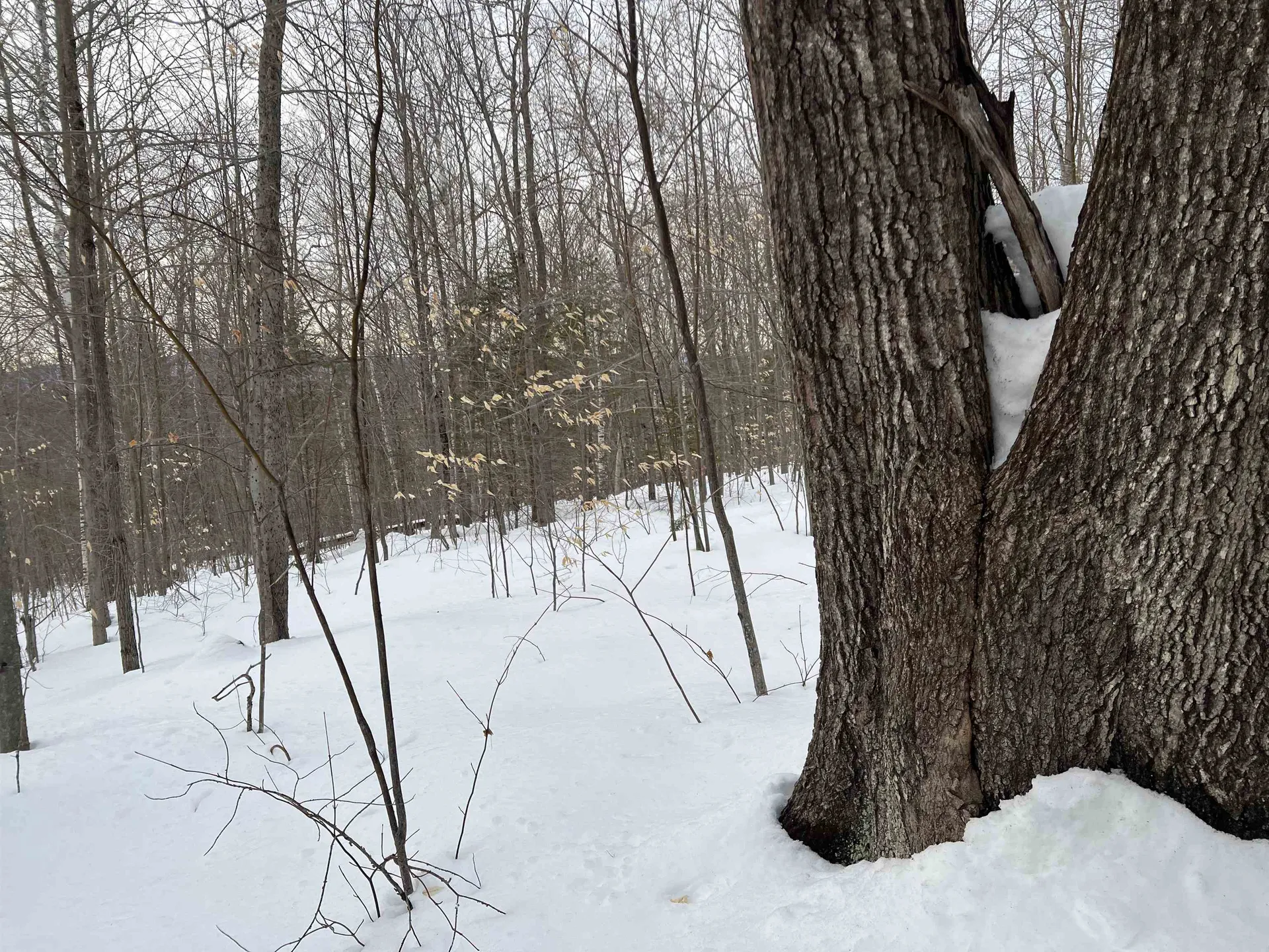 0 Oak Ridge Road Plymouth NH 03264