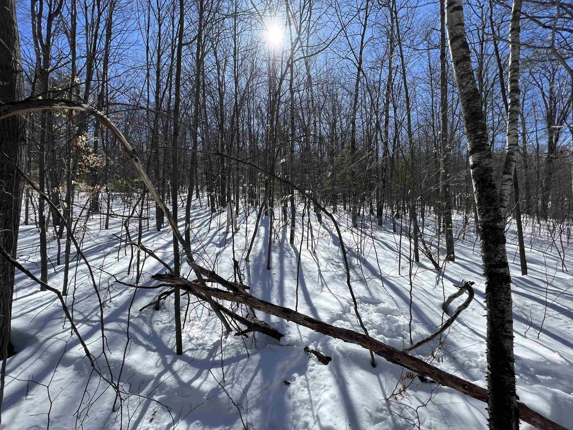 0 Oak Ridge Road Plymouth NH 03264