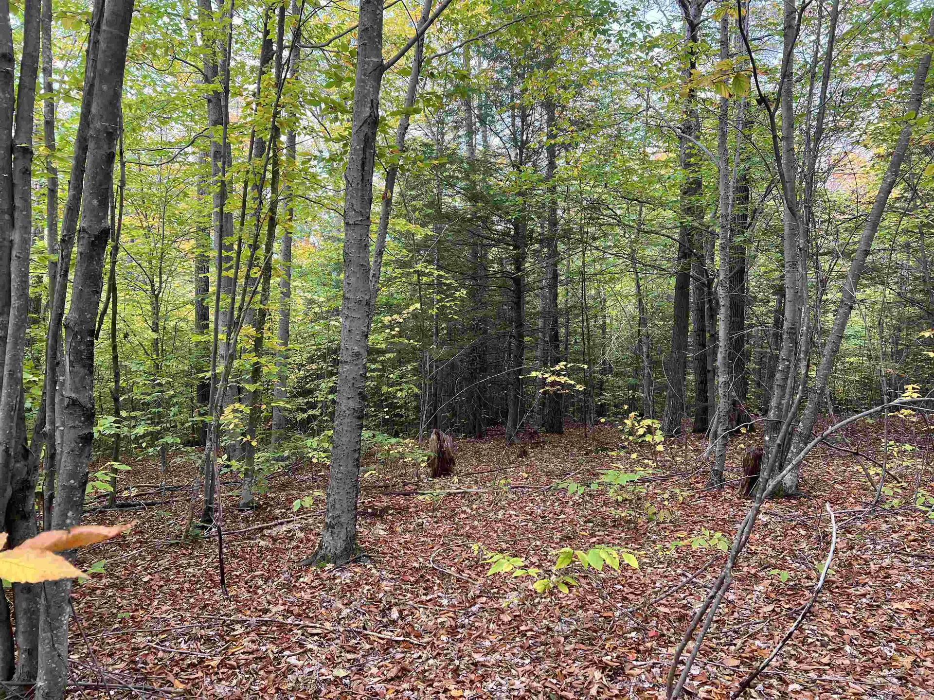 0 Oak Ridge Road Plymouth NH 03264