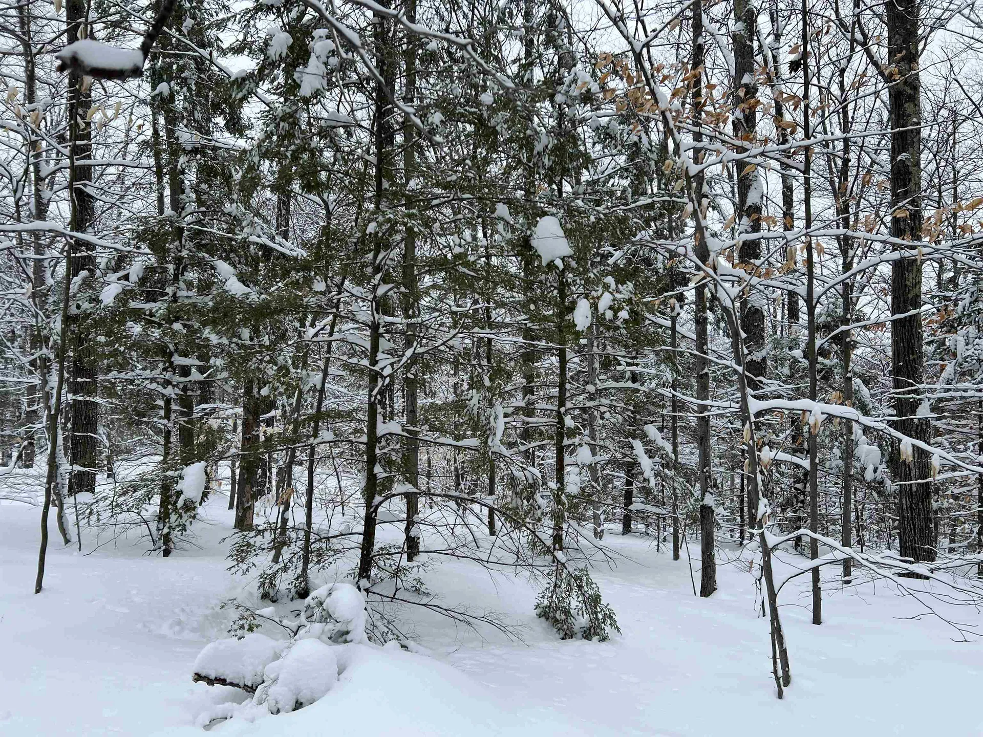 0 Oak Ridge Road Plymouth NH 03264