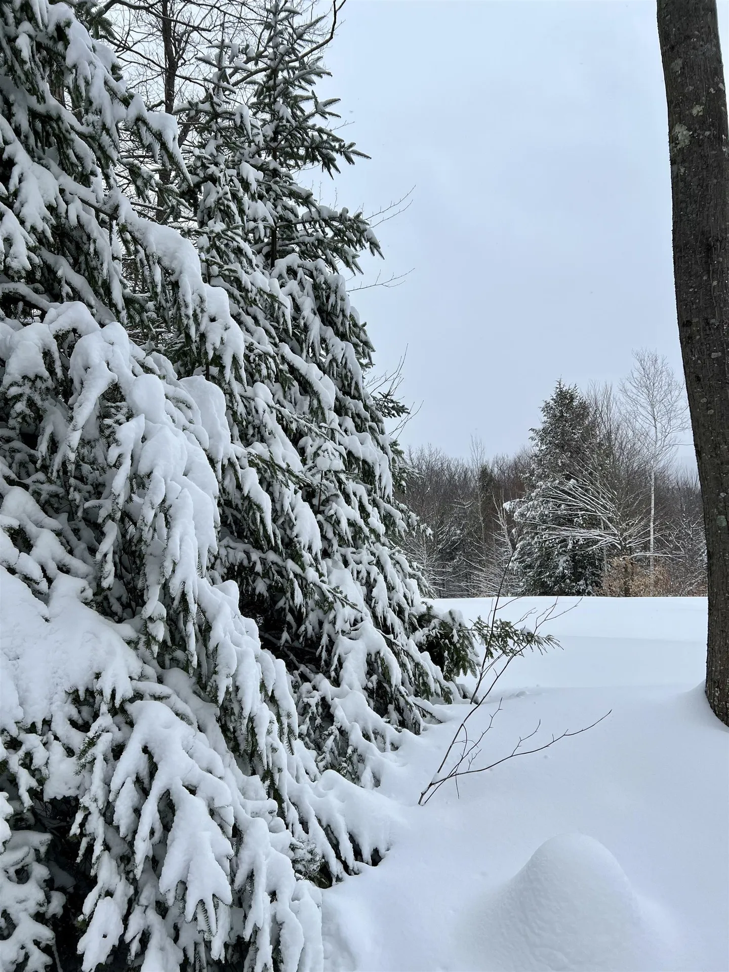 0 Oak Ridge Road Plymouth NH 03264