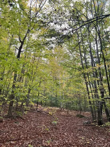 0 Oak Ridge Road Plymouth NH 03264