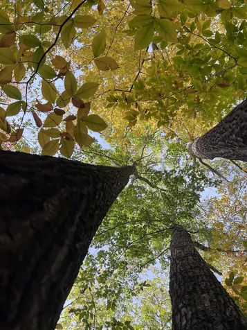 0 Oak Ridge Road Plymouth NH 03264