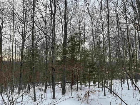 0 Oak Ridge Road Plymouth NH 03264