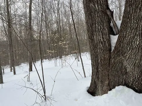 0 Oak Ridge Road Plymouth NH 03264