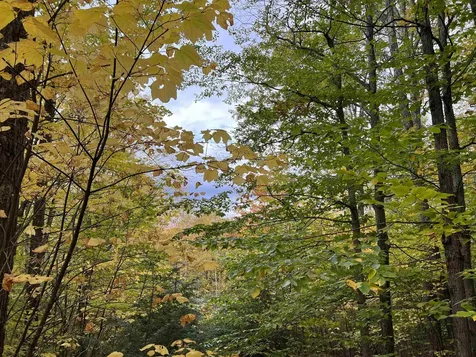 0 Oak Ridge Road Plymouth NH 03264