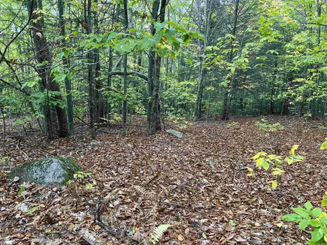 0 Oak Ridge Road Plymouth NH 03264