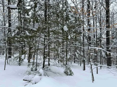 0 Oak Ridge Road Plymouth NH 03264