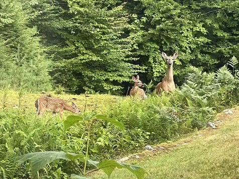 0 Oak Ridge Road Plymouth NH 03264