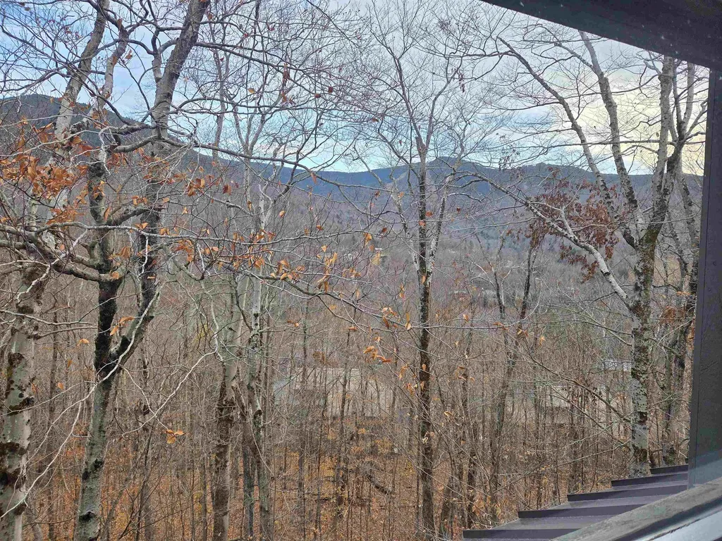 9 Moose Lane Lincoln NH 03251