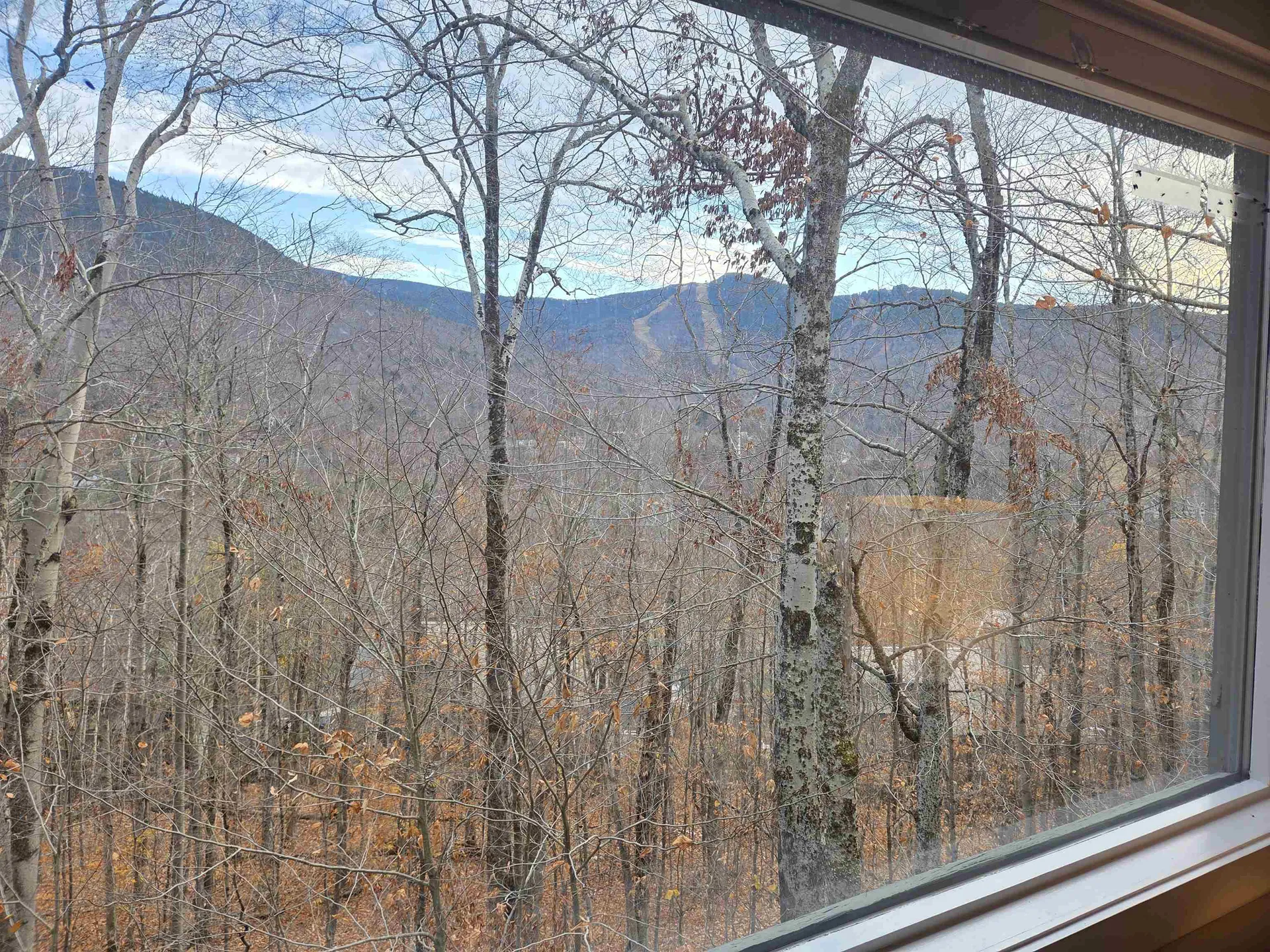 9 Moose Lane Lincoln NH 03251