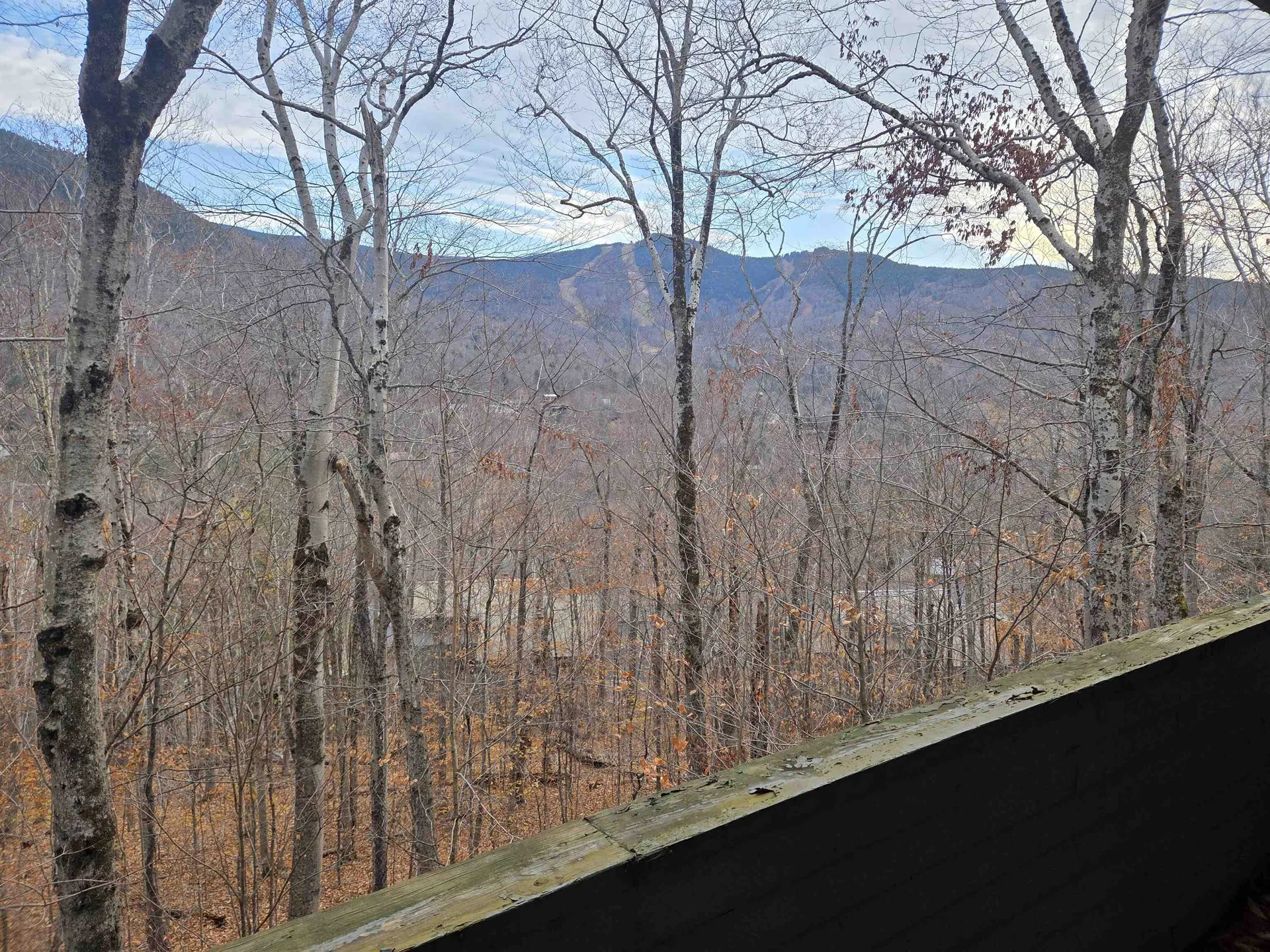 9 Moose Lane Lincoln NH 03251