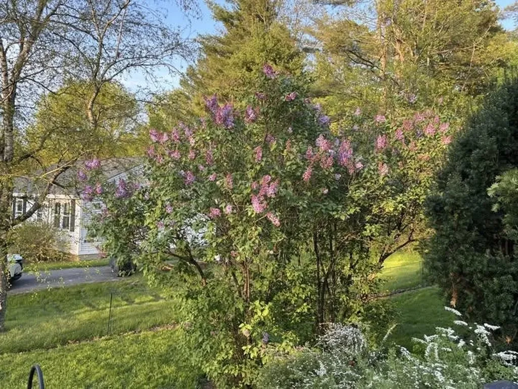 17 Alderwood Court Claremont NH 03743