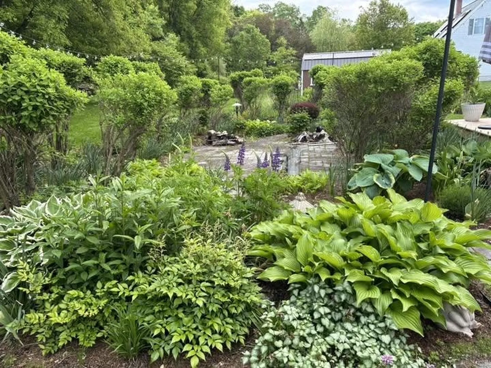 17 Alderwood Court Claremont NH 03743