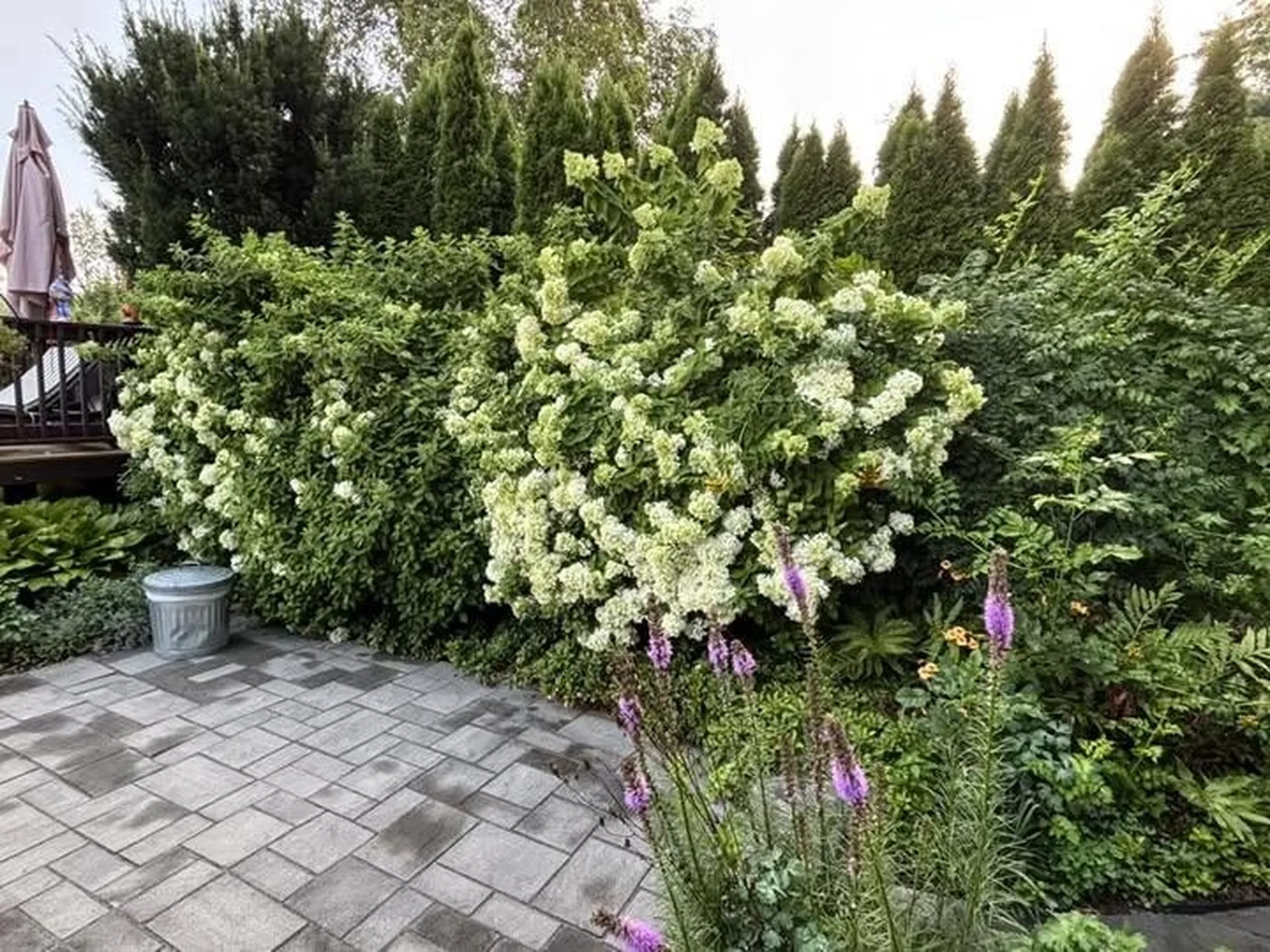 17 Alderwood Court Claremont NH 03743