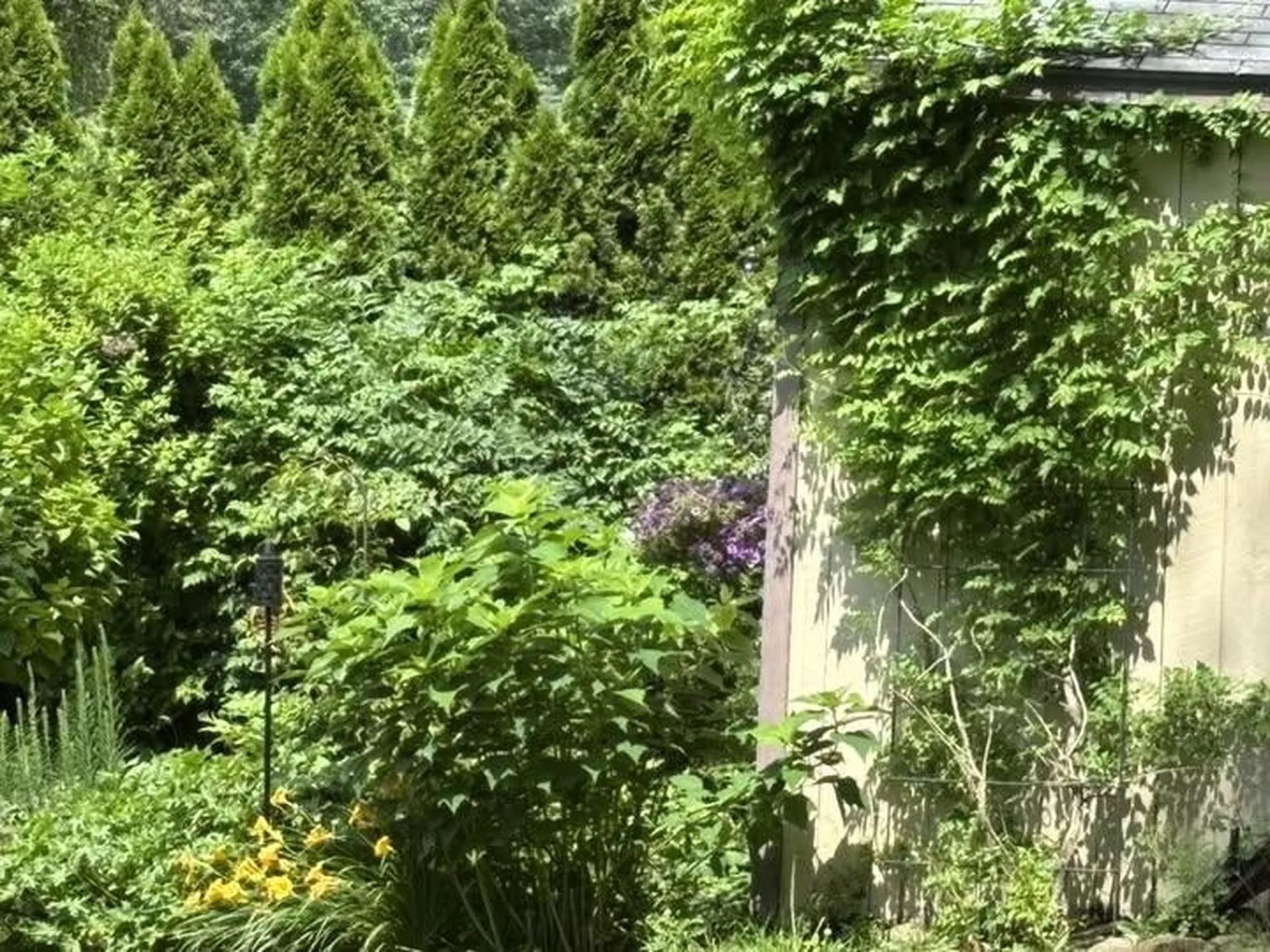 17 Alderwood Court Claremont NH 03743