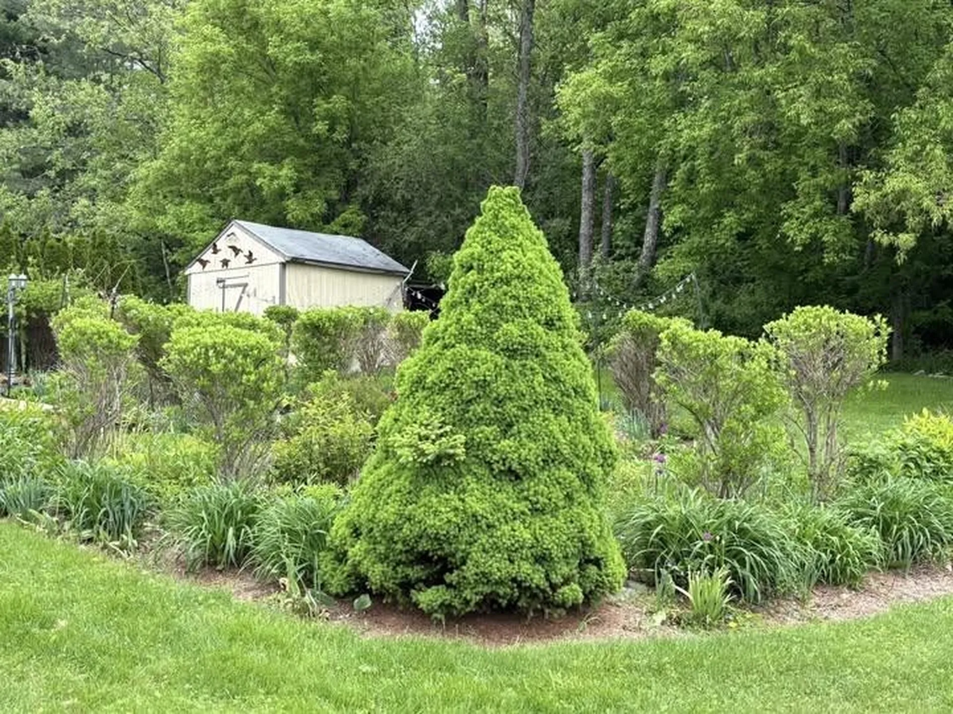 17 Alderwood Court Claremont NH 03743