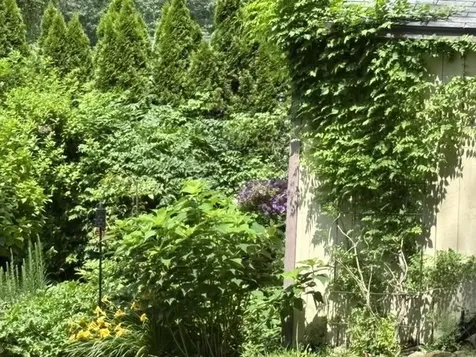 17 Alderwood Court Claremont NH 03743