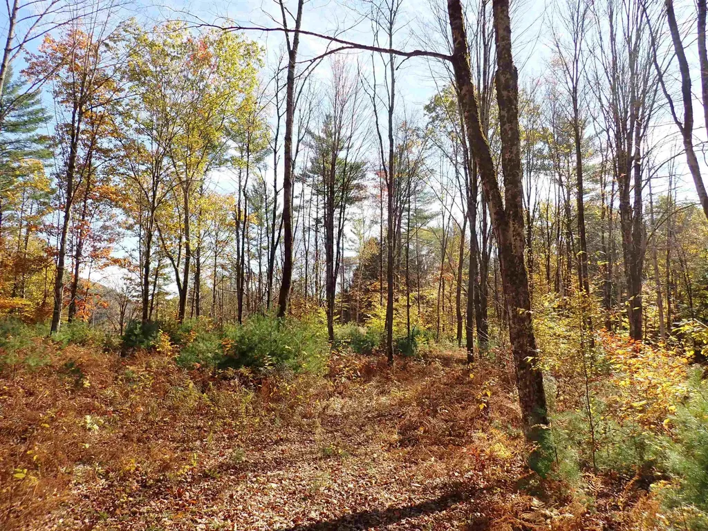 1118 Ryegate Road Ryegate VT 05081