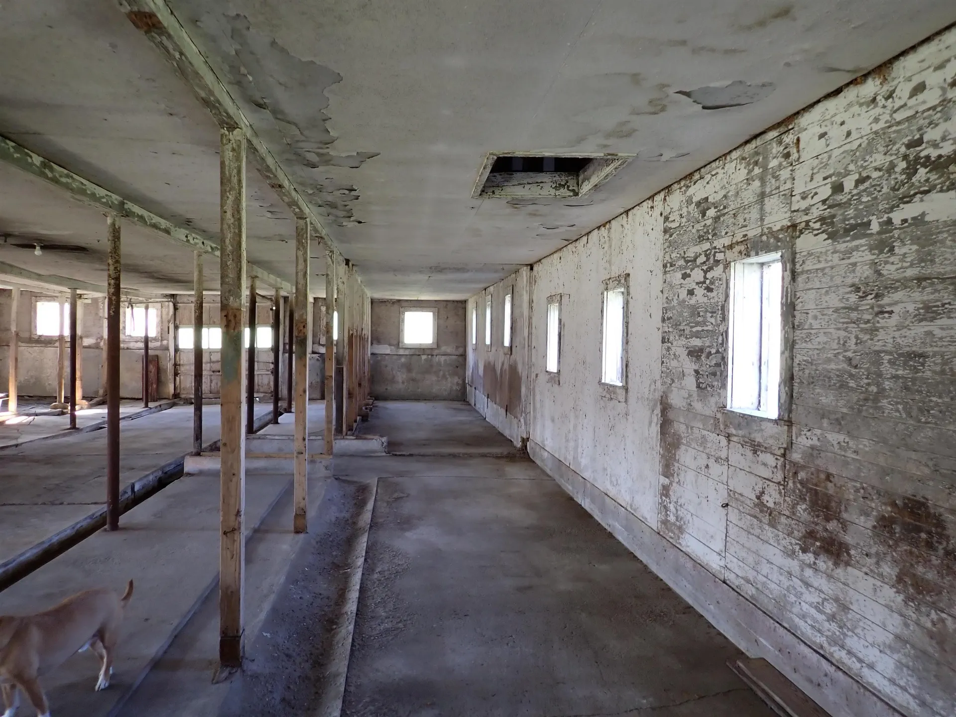 1118 Ryegate Road Ryegate VT 05081