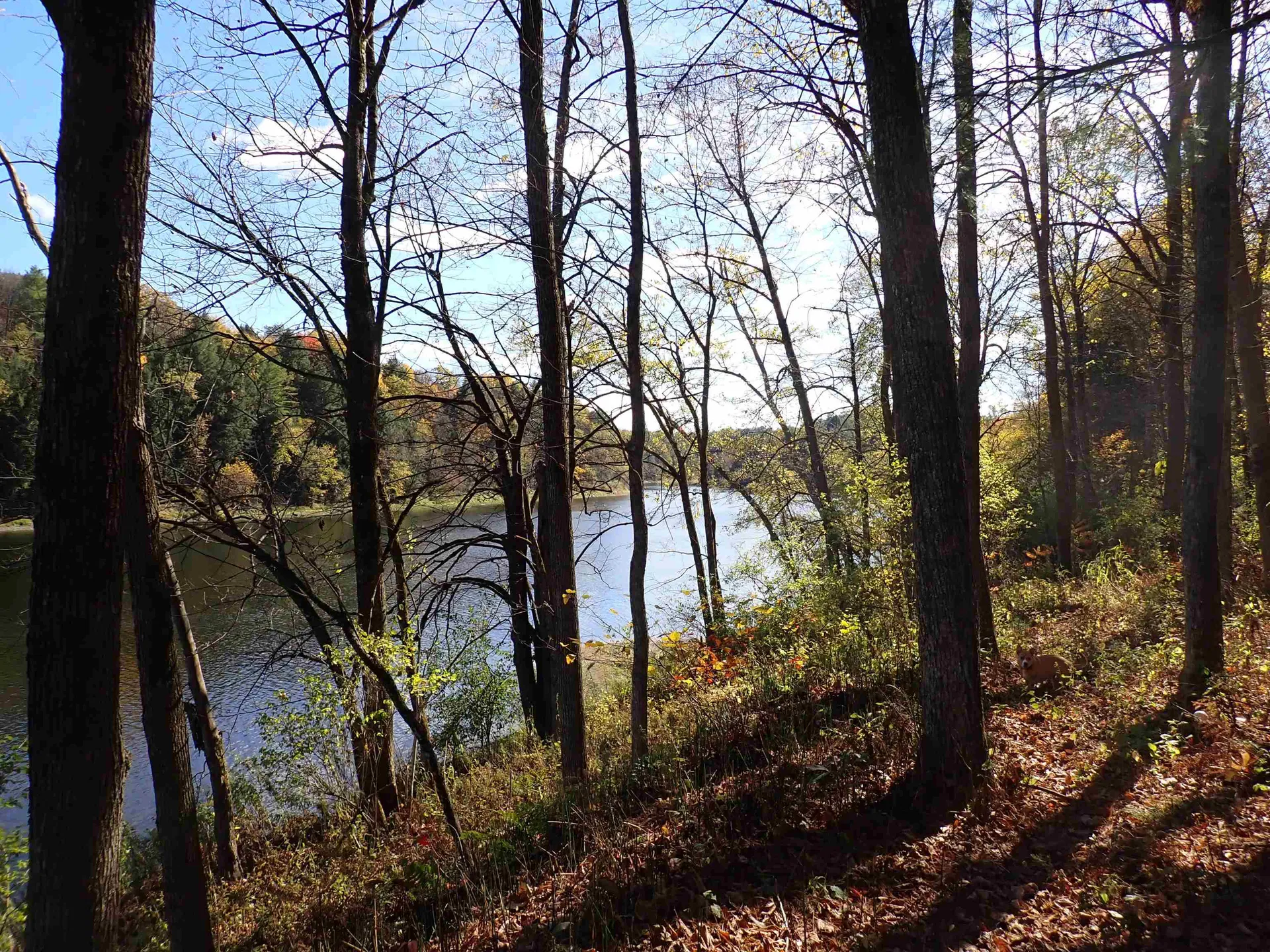 1118 Ryegate Road Ryegate VT 05081