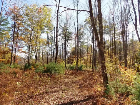 1118 Ryegate Road Ryegate VT 05081