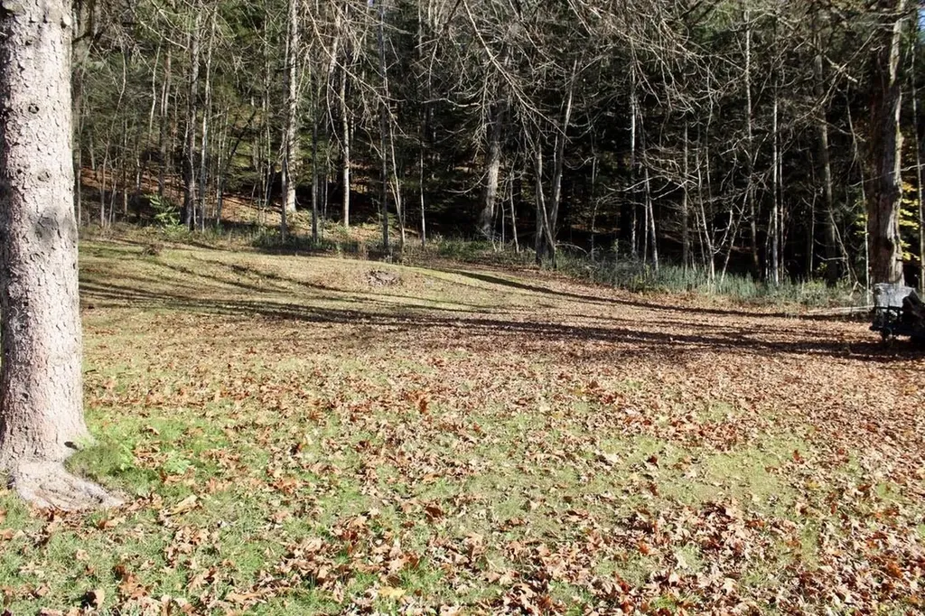 1066 Country Club Road Brandon VT 05733