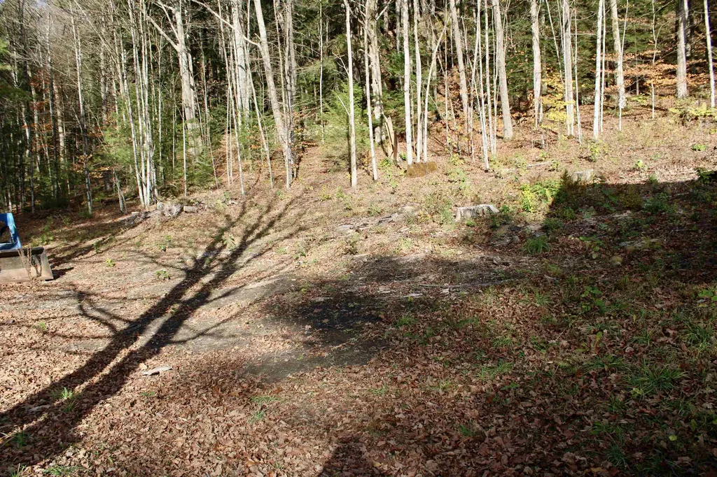 1066 Country Club Road Brandon VT 05733