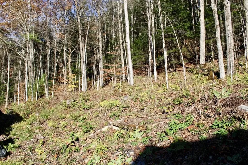 1066 Country Club Road Brandon VT 05733