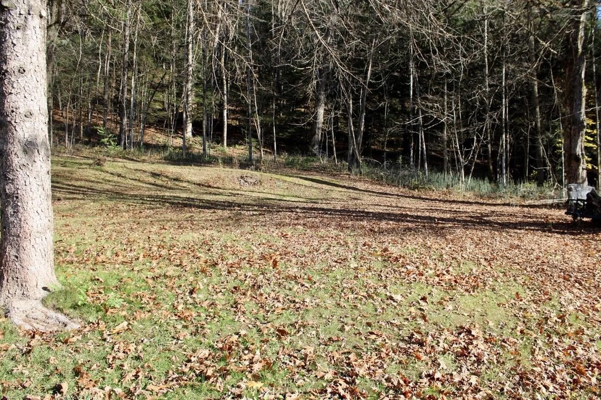 1066 Country Club Road Brandon VT 05733