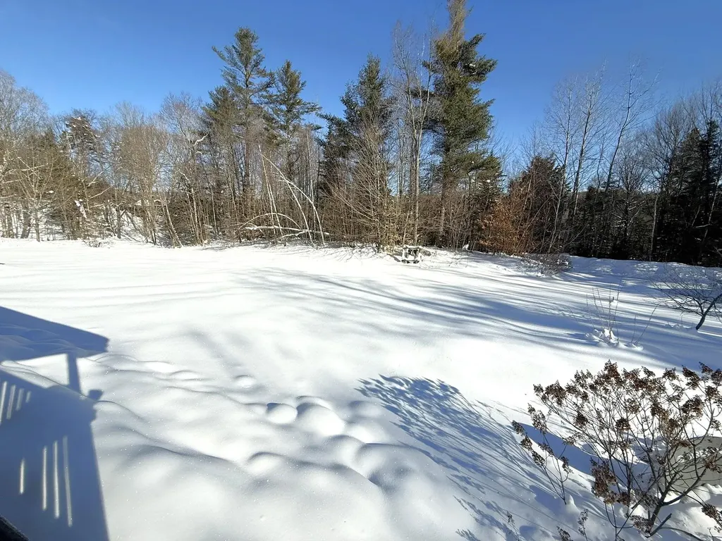 245 Scribner Road Woodbury VT 05680