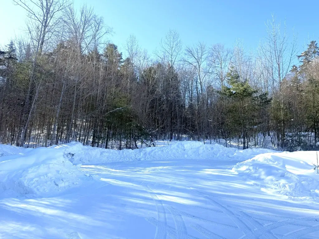 245 Scribner Road Woodbury VT 05680