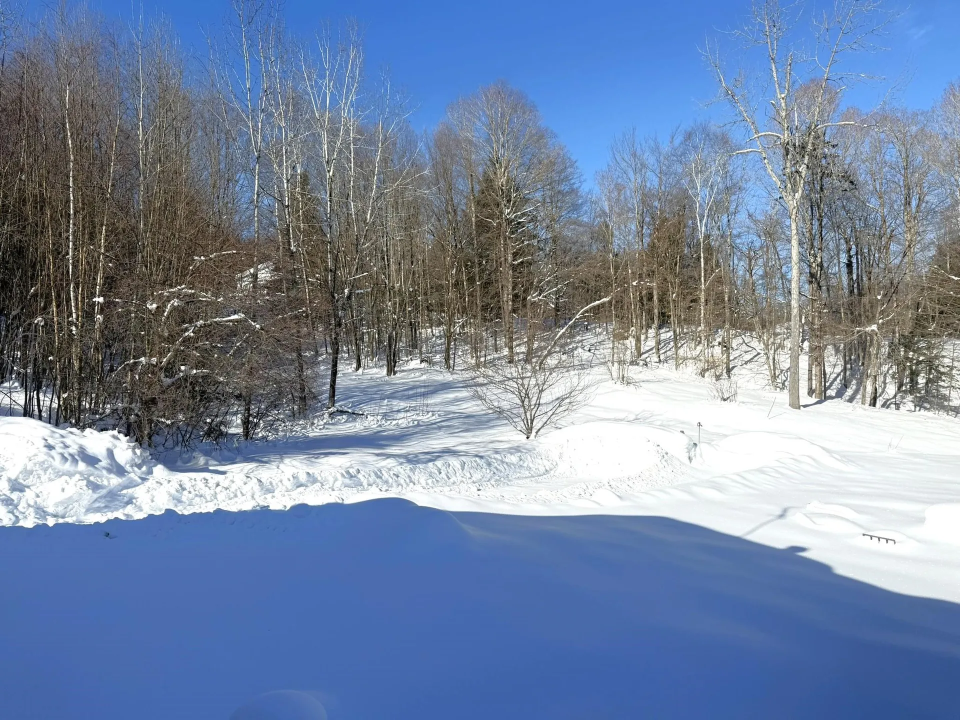 245 Scribner Road Woodbury VT 05680