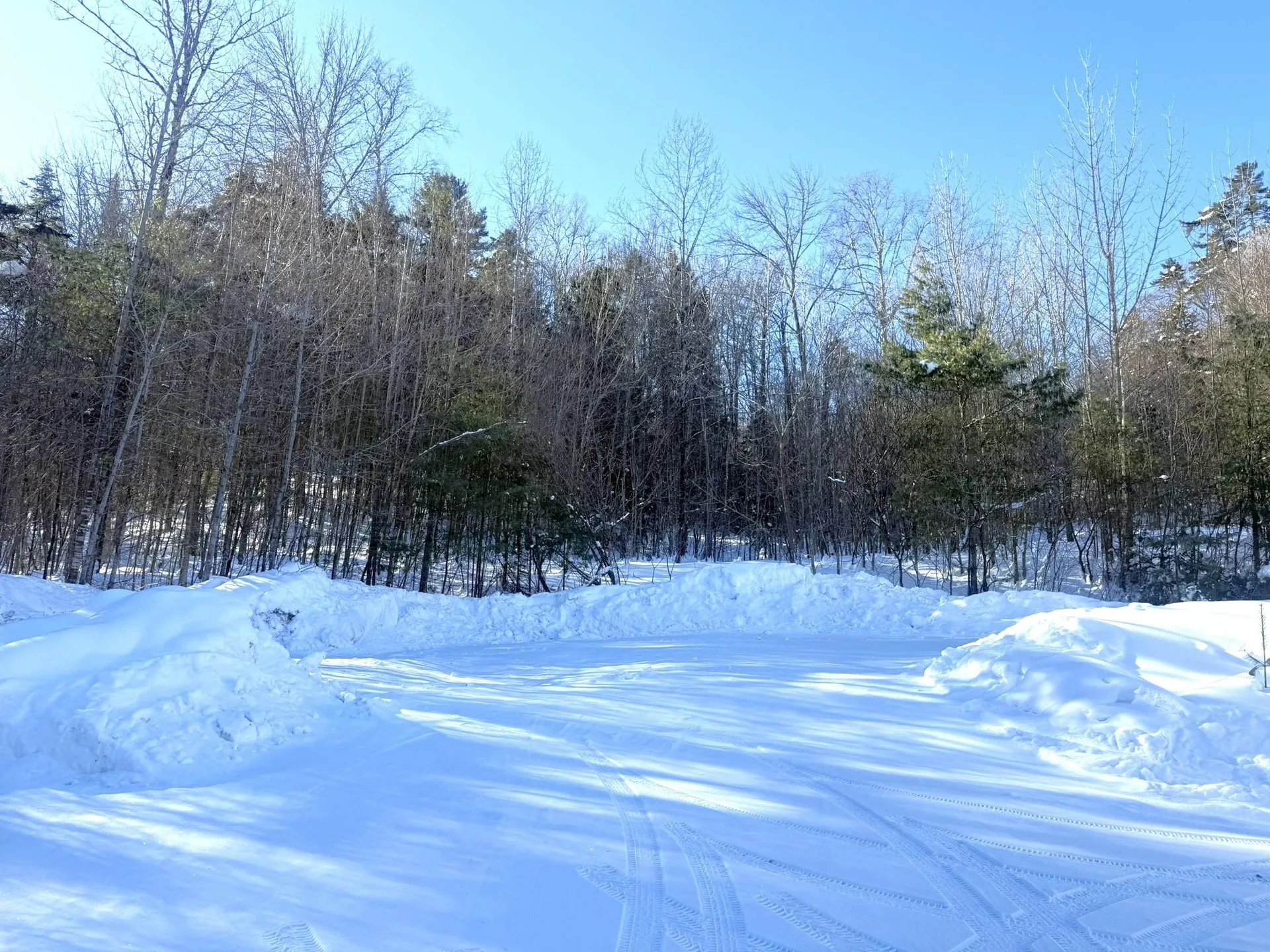 245 Scribner Road Woodbury VT 05680