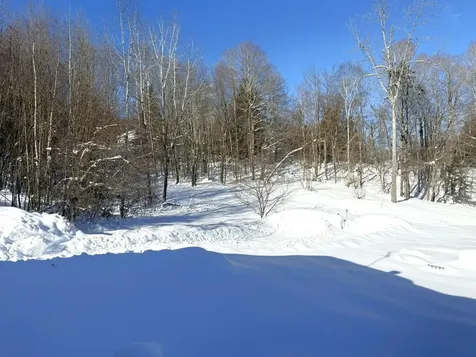 245 Scribner Road Woodbury VT 05680