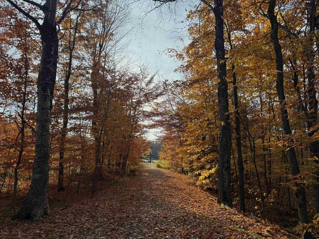 7412 Mountain Road Stowe VT 05672