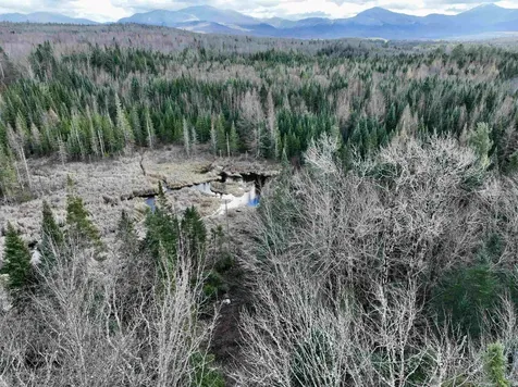 00 Moose Trail Road Bethlehem NH 03574