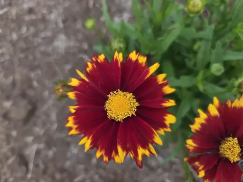 188 Sawyers Crossing Road Swanzey NH 03446