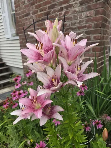 188 Sawyers Crossing Road Swanzey NH 03446