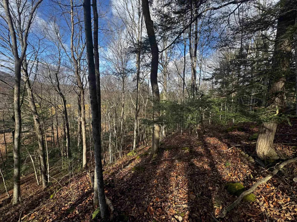 452 Syndicate Road Pittsford VT 05763