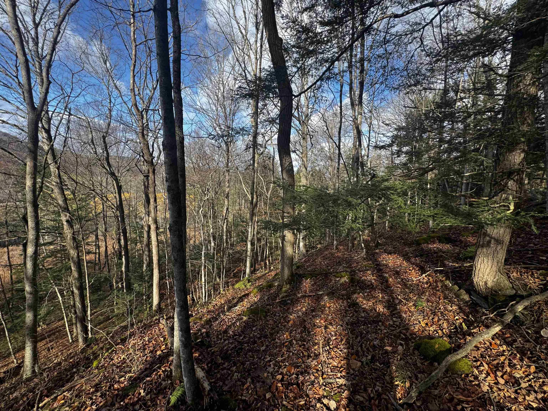 452 Syndicate Road Pittsford VT 05763