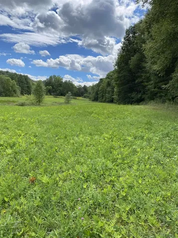 452 Syndicate Road Pittsford VT 05763