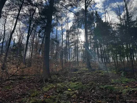 452 Syndicate Road Pittsford VT 05763